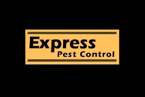 Express Pest Control photo